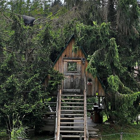 Vila Zen Among The Trees Stahovica Exteriér fotografie