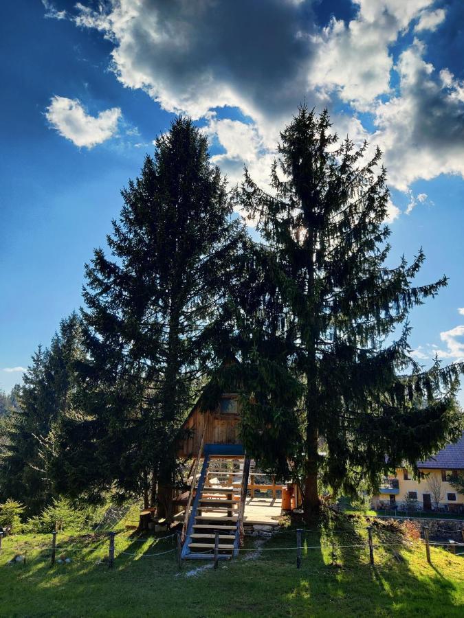 Vila Zen Among The Trees Stahovica Exteriér fotografie