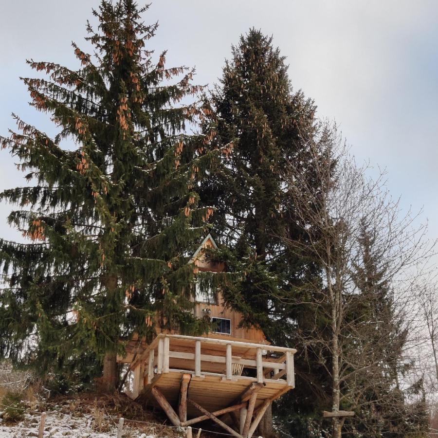 Vila Zen Among The Trees Stahovica Exteriér fotografie